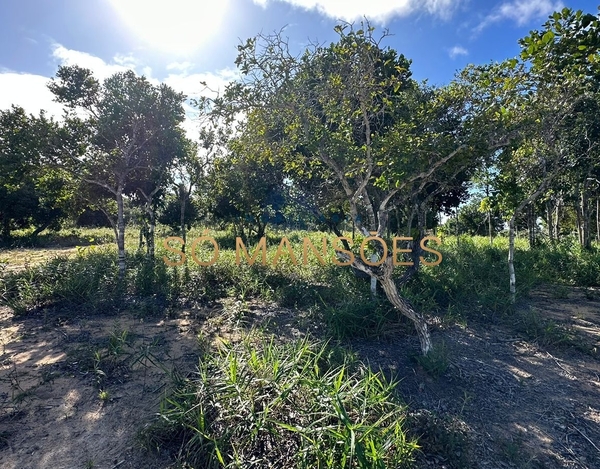 Lote de 10567m² com vista mar à venda no condomínio Balcão da Lua - Arraial DAjuda/BA.