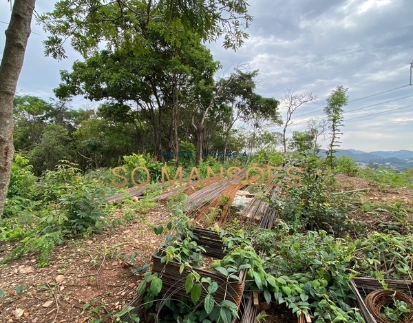 EXCELENTE LOTE PLANO NO MIRANTE DA MATA.