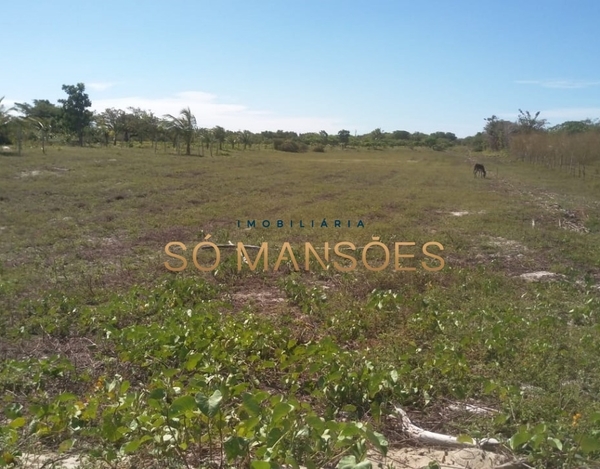 LOTES PLANOS A POUCOS METROS DA LAGOA DO PARAÍSO, EM JIJOCA DE JERICOACARA - CE.