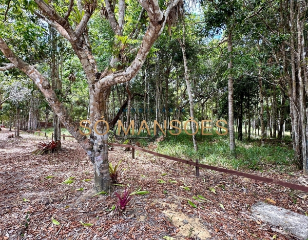 Lote de 2.805 m² à Venda com Vista para o Mar no Condomínio Estâncias Fasano, Trancoso - BA