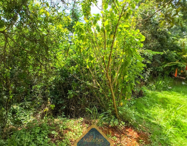 Terreno dos Sonhos: Lote de 1000m² com Vista para as Montanhas no Condomínio Vila Alpina.