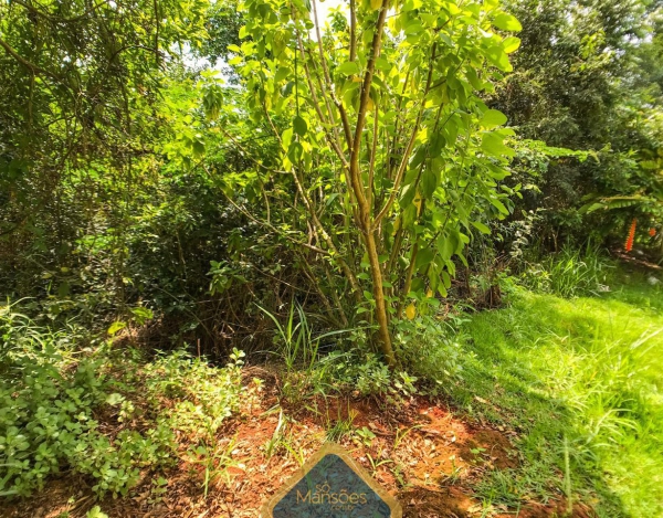 Terreno dos Sonhos: Lote de 1000m² com Vista para as Montanhas no Condomínio Vila Alpina.