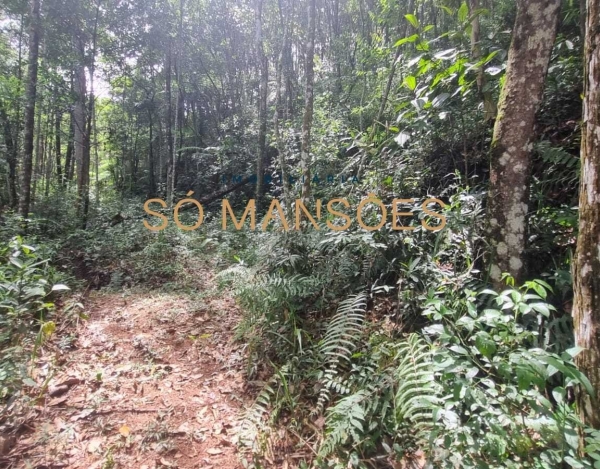 Lote de 12.000 m² à Venda no Estância Serrana, Nova Lima - MG
