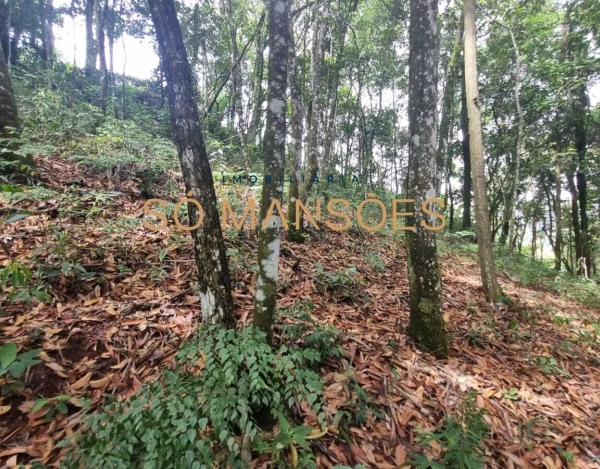 Lote de 12.000 m² à Venda no Estância Serrana, Nova Lima - MG