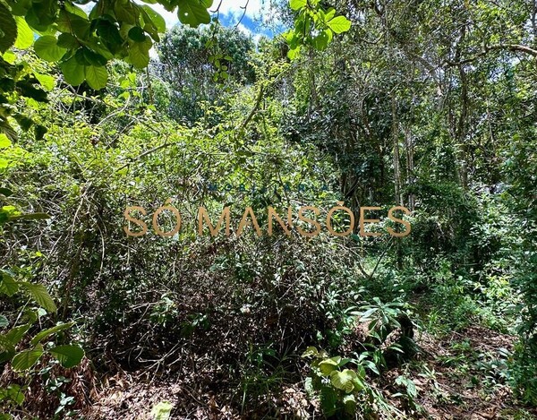 Lote de 900m² à venda no bairro Colina - Trancoso/BA.