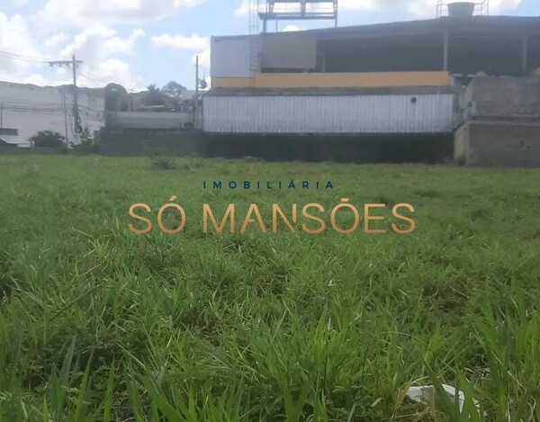 ÁREA PLANA À VENDA NO BAIRRO DONA CLARA – EXCELENTE OPORTUNIDADE PARA INVESTIDORES E CONSTRUTORES.