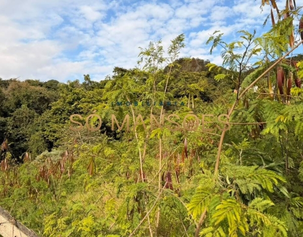 Lote à Venda no Bosque do Jambreiro, Nova Lima — 1.190 m² com Topografia Suave e Localização Privilegiada