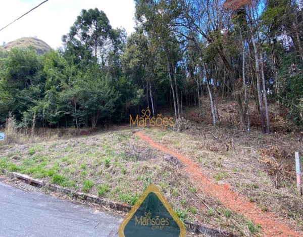 LOTE DE 1005M² NO CONDOMÍNIO CANTO DA MATA: SUA OPORTUNIDADE VERDE!