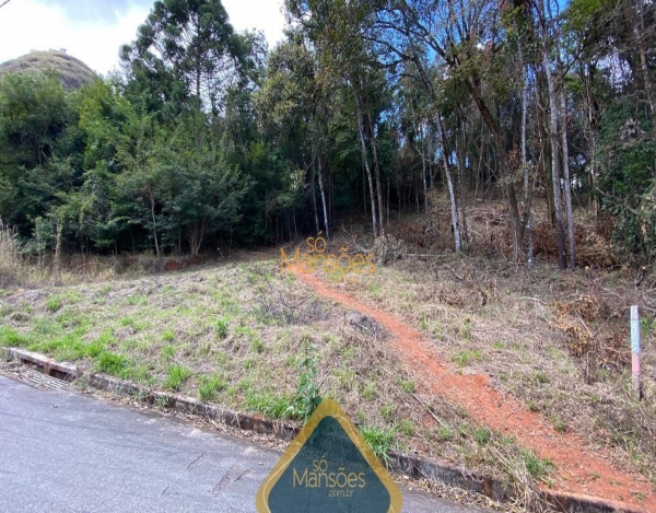 LOTE DE 1005M² NO CONDOMÍNIO CANTO DA MATA: SUA OPORTUNIDADE VERDE!