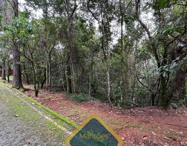 Lote de 1680m² à venda  no condomínio Bosque da Ribeira.