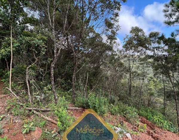 Lote de 2335m² à vendido pela Só Mansões no condomínio Bosque da Ribeira.