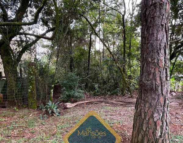 Lote de 1.045 m² à Venda com Quadra de Tênis no Bosque da Ribeira, Nova Lima - MG