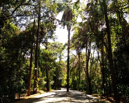 Bosque da Ribeira